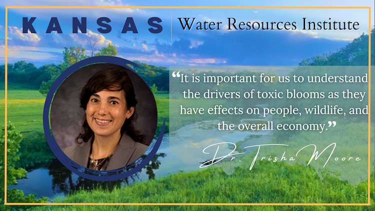 This graphic includes a headshot of Trisha Moore inside a circular frame which overlays a photo of a Kansas stream with bright green streambanks